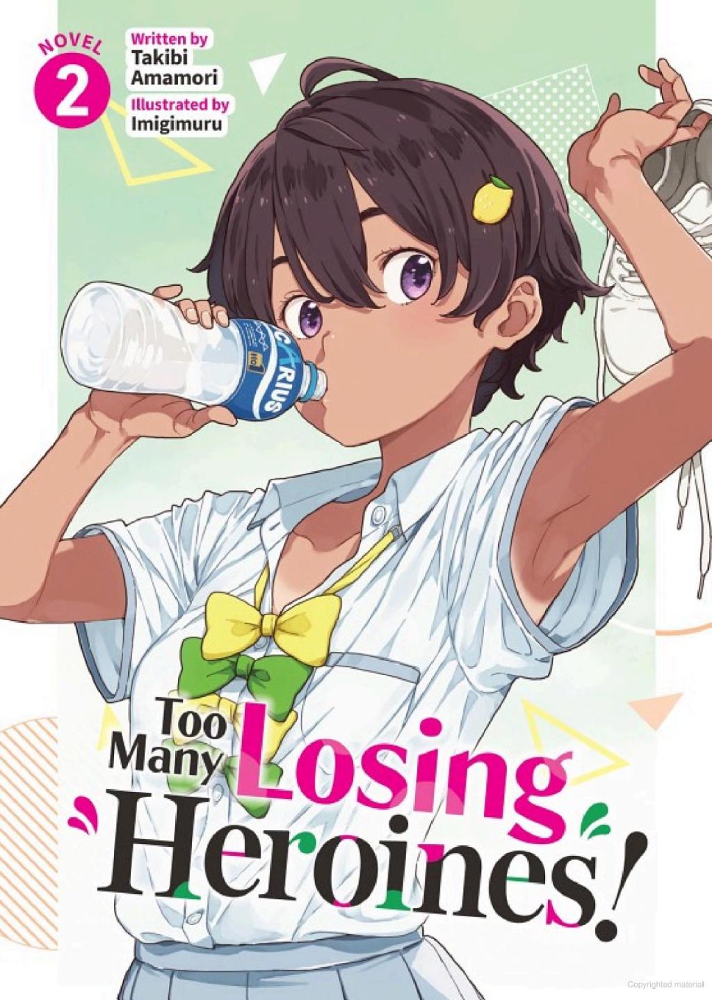 Too Many Losing Heroines! Vol. 2&nbsp;Review