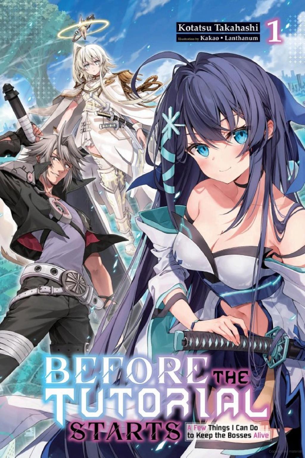 Before the Tutorial Starts: A Few Things I Can Do to Keep the Bosses Alive, Vol. 1&nbsp;Review