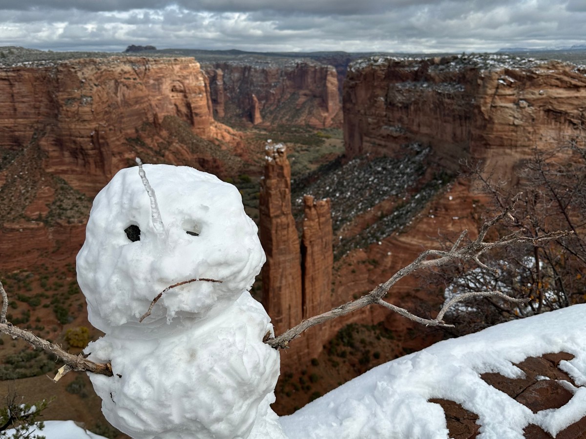 An American Ancestral&nbsp;Adventure!